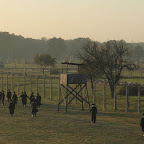 birkenau3.jpg birkenau3.jpg