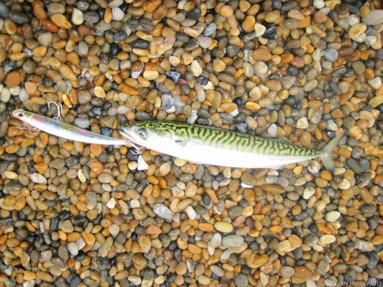 [IMG_1603%255B11%255D.jpg]