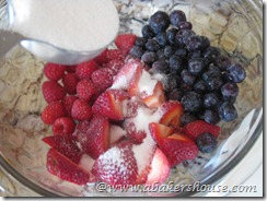 IMG_8025 IMG_8025