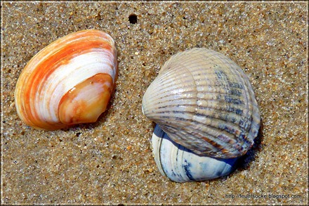 P1020755