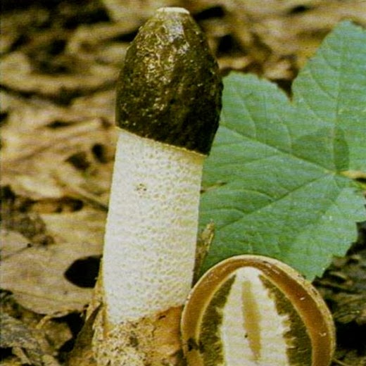 [clip_image004%255B7%255D%255B9%255D.jpg]