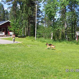Galleri 3