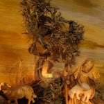 1604-6.jpg 1604-6.jpg