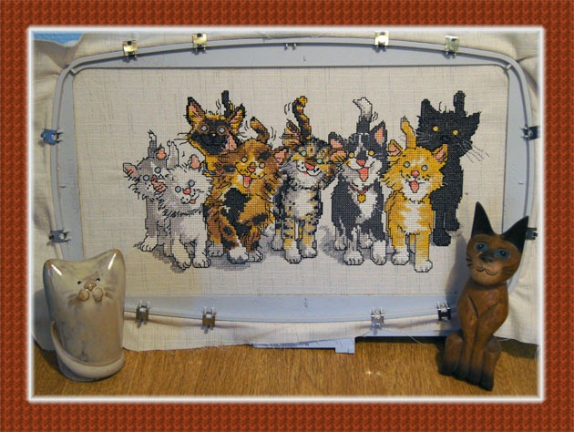 5D Cross Stitcher, CATS