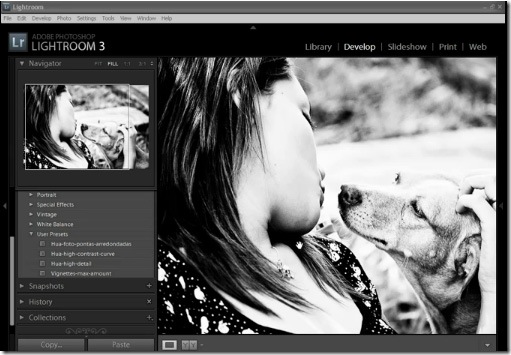 como importar presets no lightroom como importar presets no lightroom