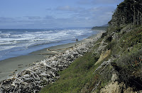 Kalaloch Beach