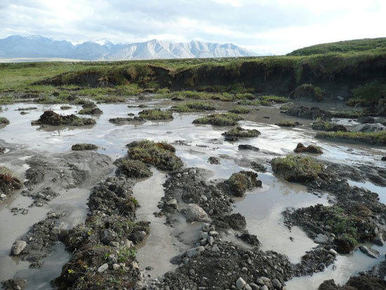 Regions of melted permafrost in the Arctic, 11 February 2013. Photo: Rose Cory / PNAS