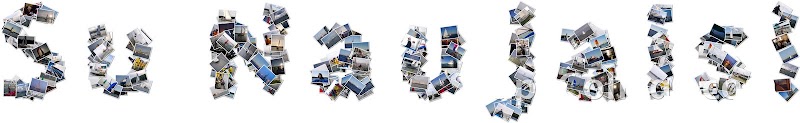 Collage2013-3 copy.jpg