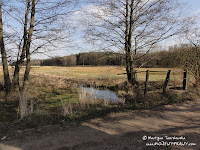 dsc07299.jpg