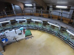 IMG_0675 IMG_0675