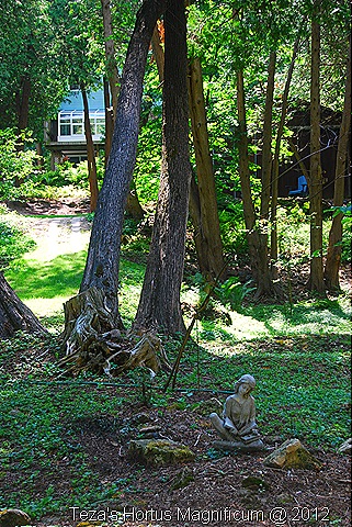 [DSC_007510.jpg]