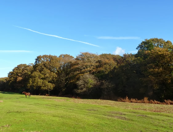 blue autumn skies