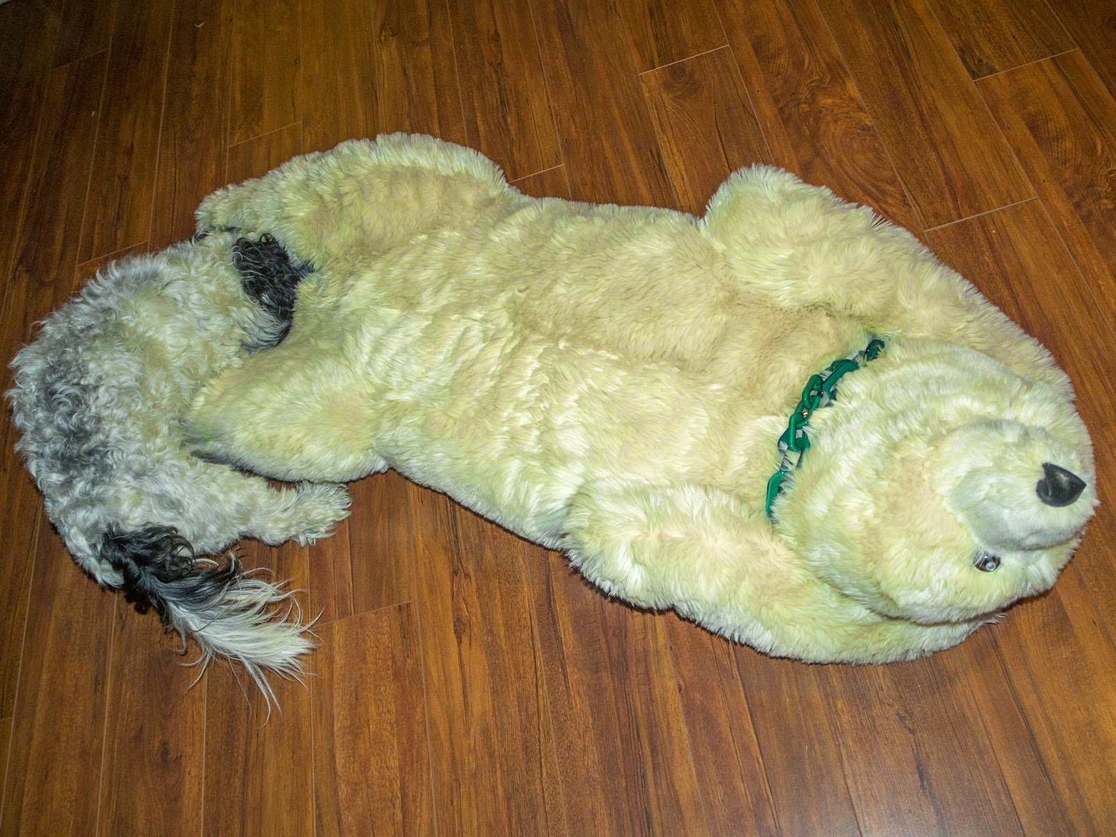 [20141017-00073.jpg]