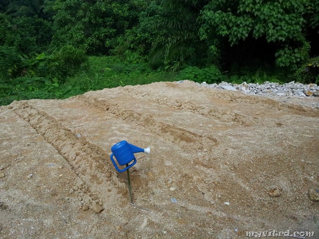 [Tanam%2520Sayur%255B7%255D.jpg]
