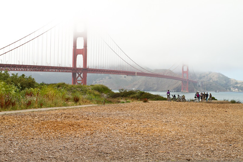 ggbridge2-1