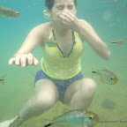 IMGP0799.JPG