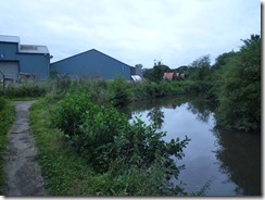 P1110180 P1110180