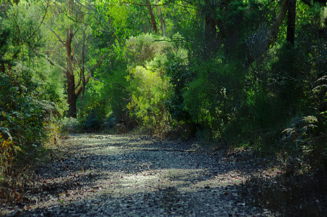[test2photo8.png]