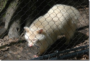 DSC_0078 DSC_0078