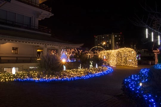 20131204-_MG_3210 20131204-_MG_3210