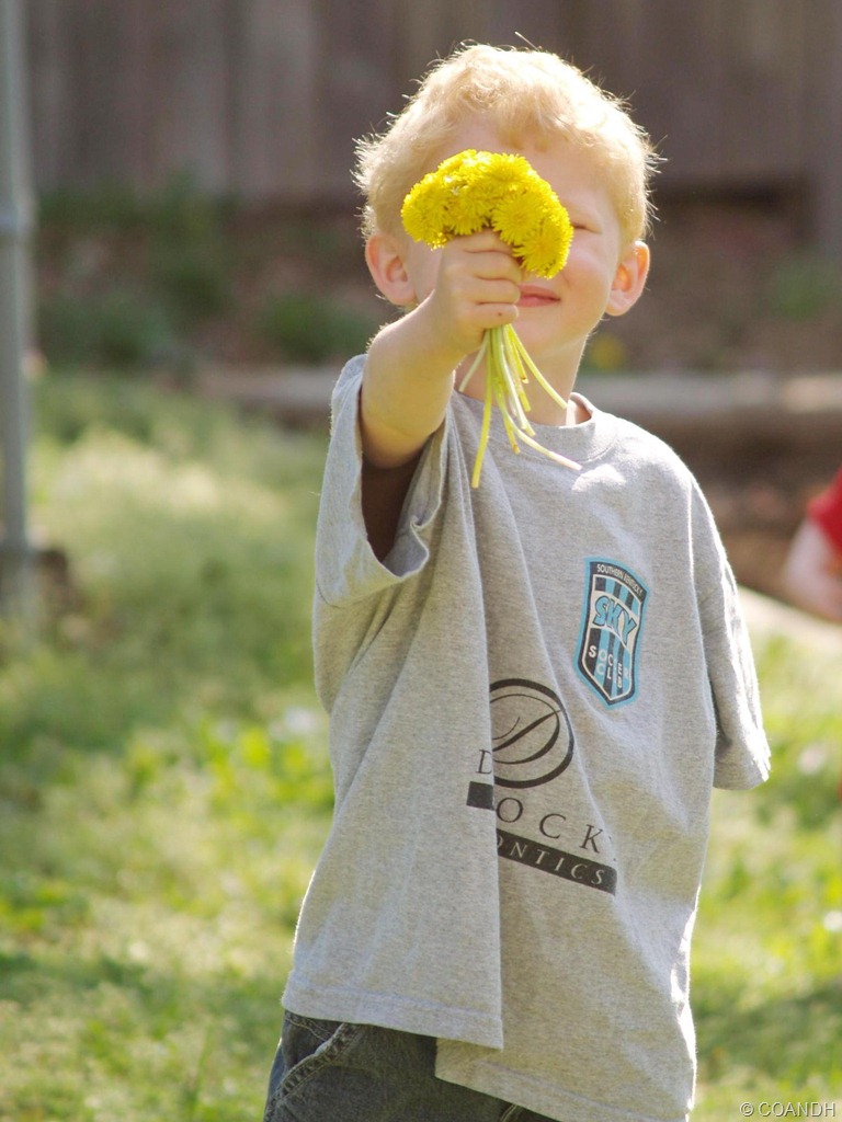 [P1018440_crop%255B9%255D.jpg]