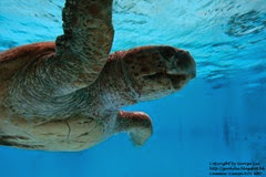 IMG_3076 IMG_3076