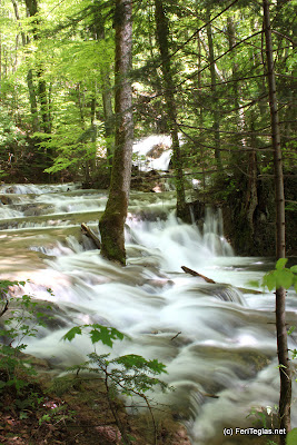 beautiful waterfall during the spring in the mountains