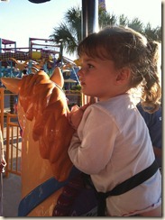 SeaWorld (23)