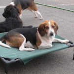 DSCN3459.jpg