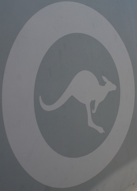 [kangaroo%255B4%255D.jpg]