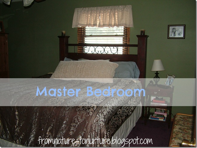 Master Bedroom1
