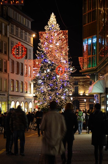 [France%2520outing33%2520Tree%255B5%255D.jpg]