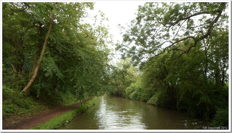 SAM_0769 All Oaks Wood SAM_0769 All Oaks Wood