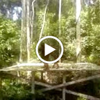 Mami und Baby stehen auf der Fütterung-Plattform