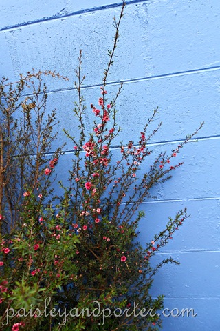 [DSCN1453-1%255B2%255D.jpg]