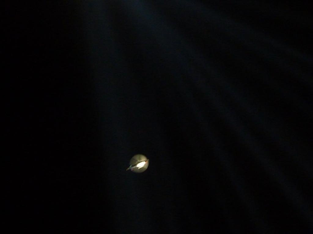 [P1080570%2520%2528Large%2529.jpg]