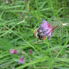dsc01221.jpg