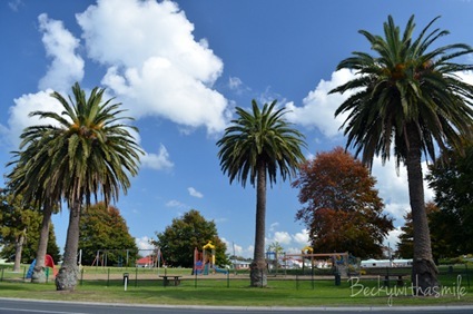 2012-04-23 New Zealand 027