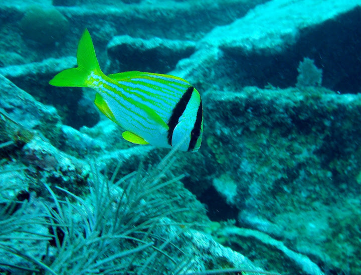 Cayo Largo Cayo Largo