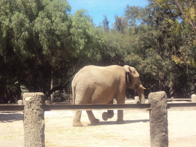[zoo117.jpg]