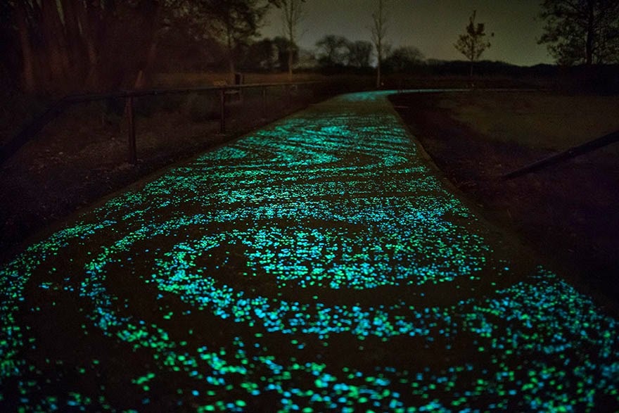 [van-gogh-starry-night-glowing-bike-path-daan-roosengaarde-7%255B4%255D.jpg]