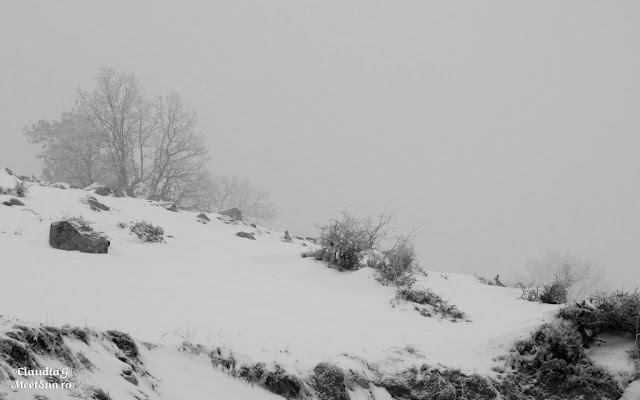 Macin-iarna-04_rw.jpg
