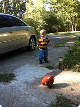 photo 3 (1)