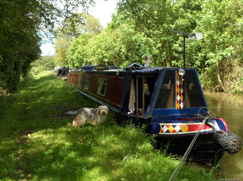 [SAM_1096%2520Moored%2520above%2520Pigeon%2520Lock%255B4%255D.jpg]