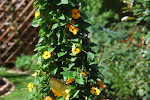 DSC_8528.jpg