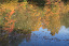 CJD_20101010_0662.JPG