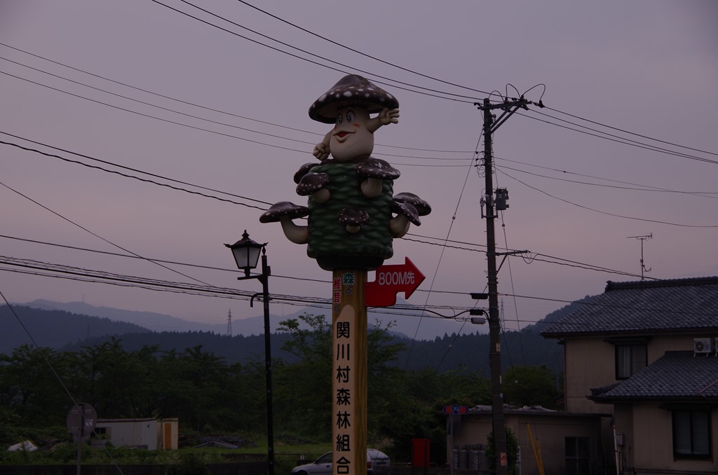 [IMGP3727%255B3%255D.jpg]