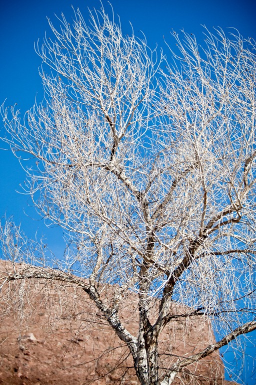 [20111231-IMG_0179%255B3%255D.jpg]