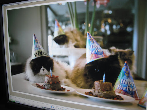 Now, let's get this hysterical photo out into cyberspace!  We'll pull a fast one on Vivaldi.  Won't he be embarrassed!  Birthday party, my foot!