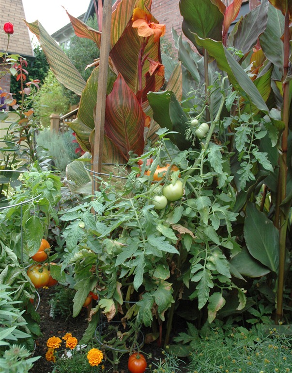 [mix%2520vegetables%2520with%2520ornamental%2520plantings%2520%25281%2529%255B4%255D.jpg]